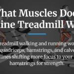 What Muscles Does Incline Treadmill Work